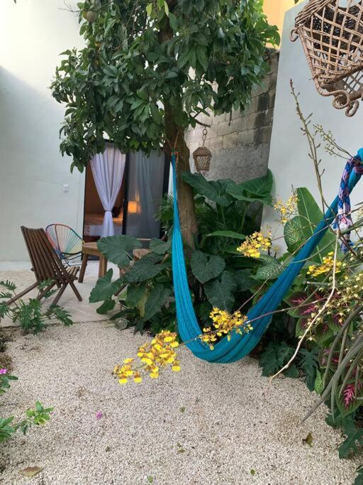 Private Full House With Pool And Cozy Patio Villa Valladolid  Dış mekan fotoğraf